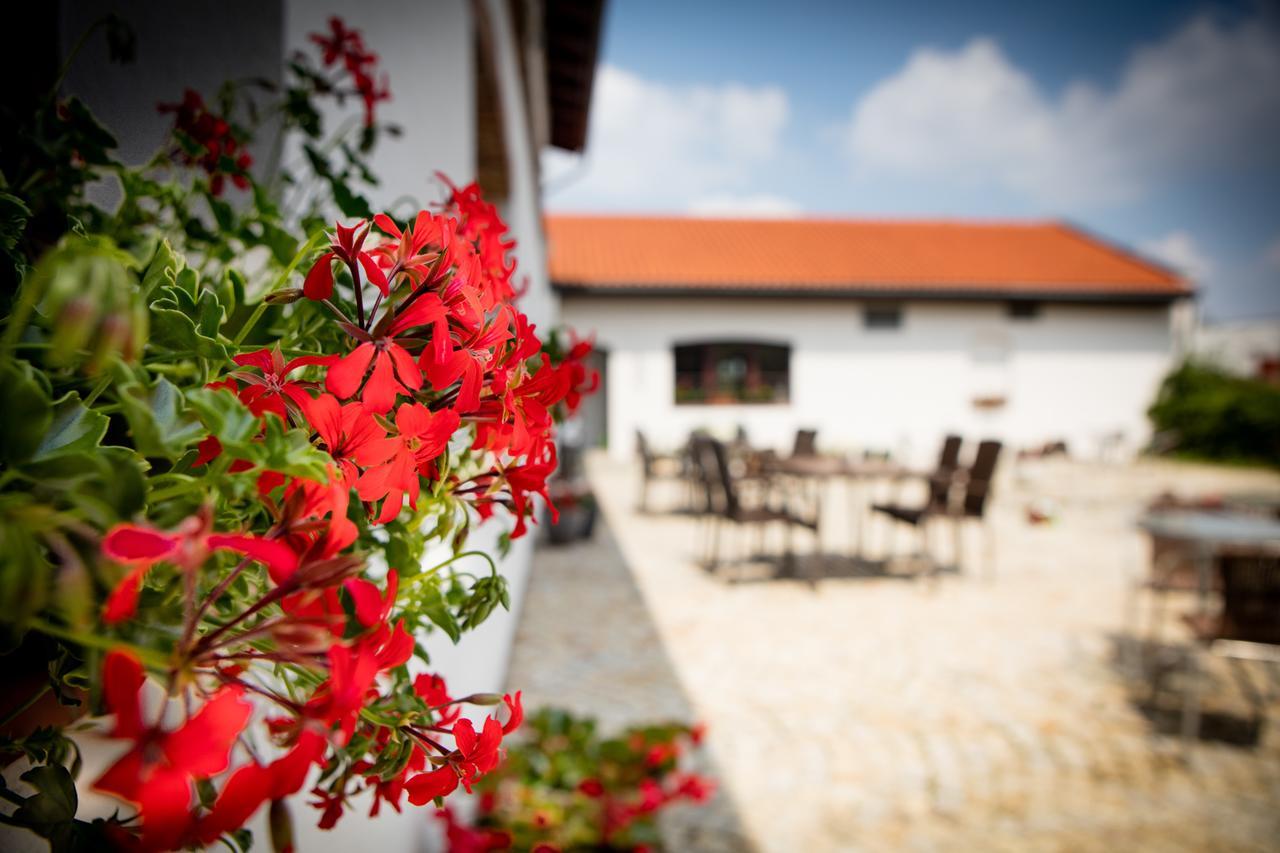Apartamenty Za Murem Posen Exterior foto